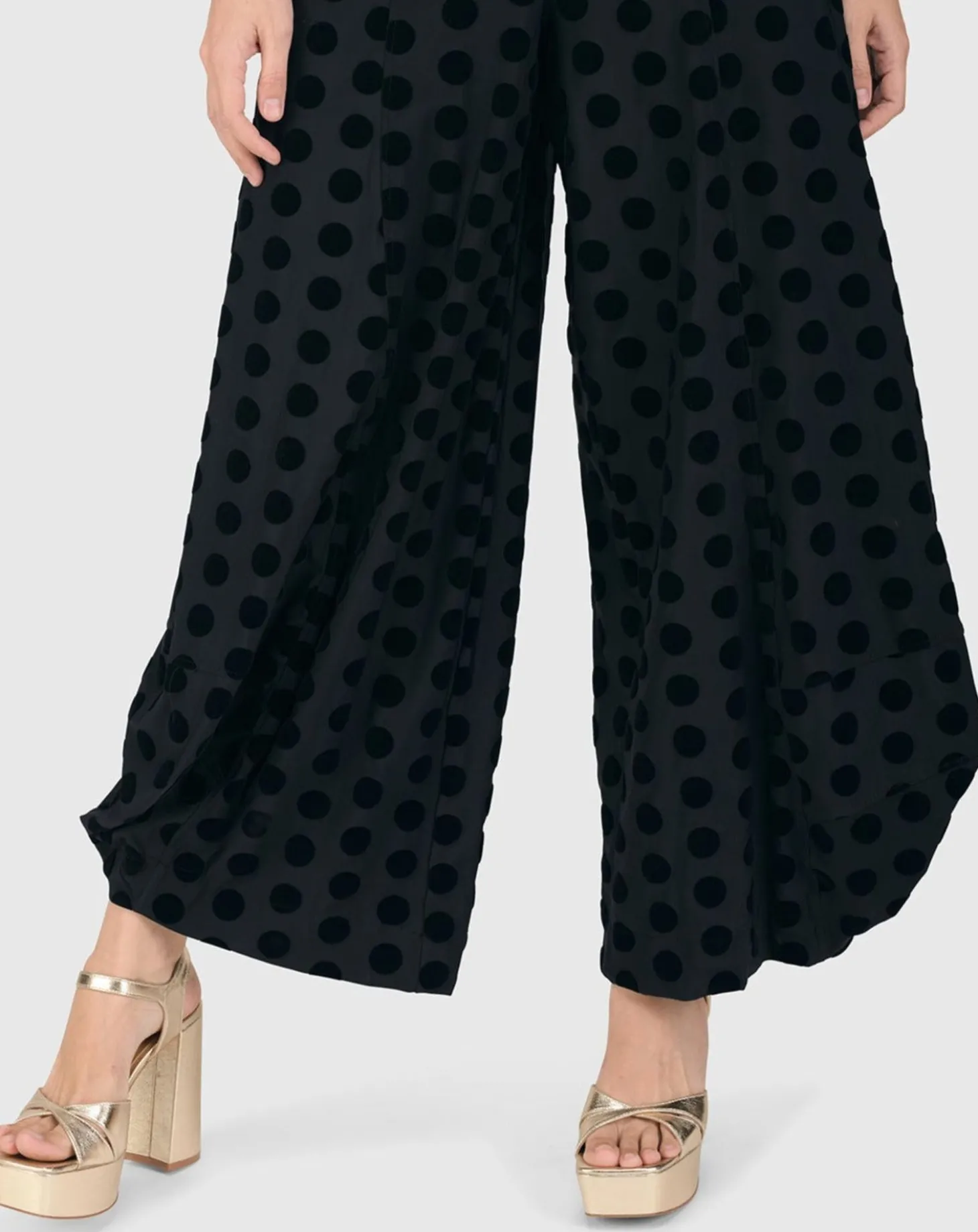 Women Alembika Dot Flocked Punto Pants, Black