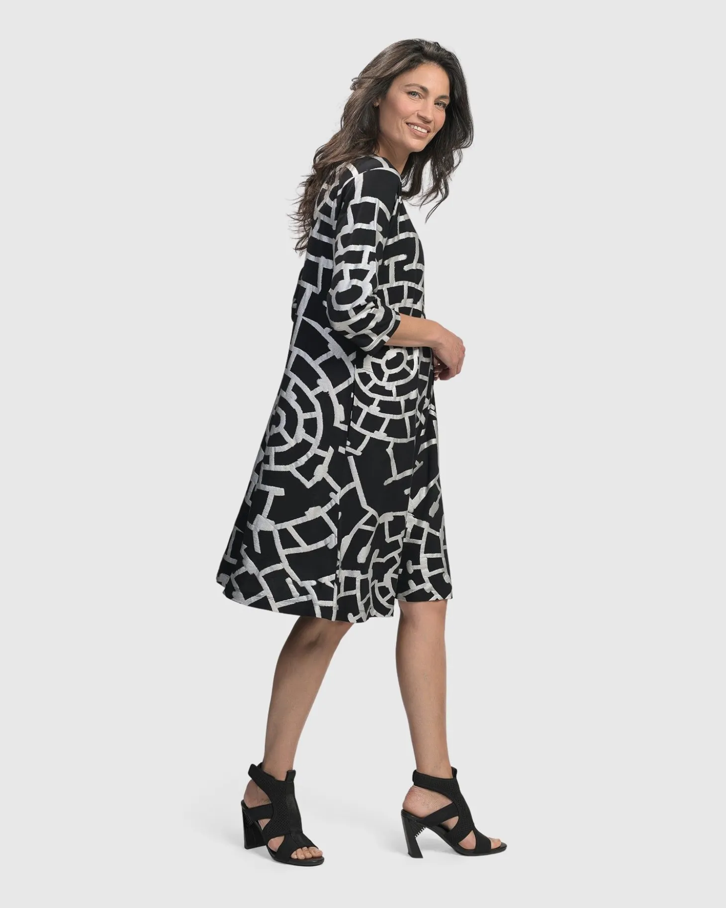 Women Alembika Hypnotic A Line Dress, Silver