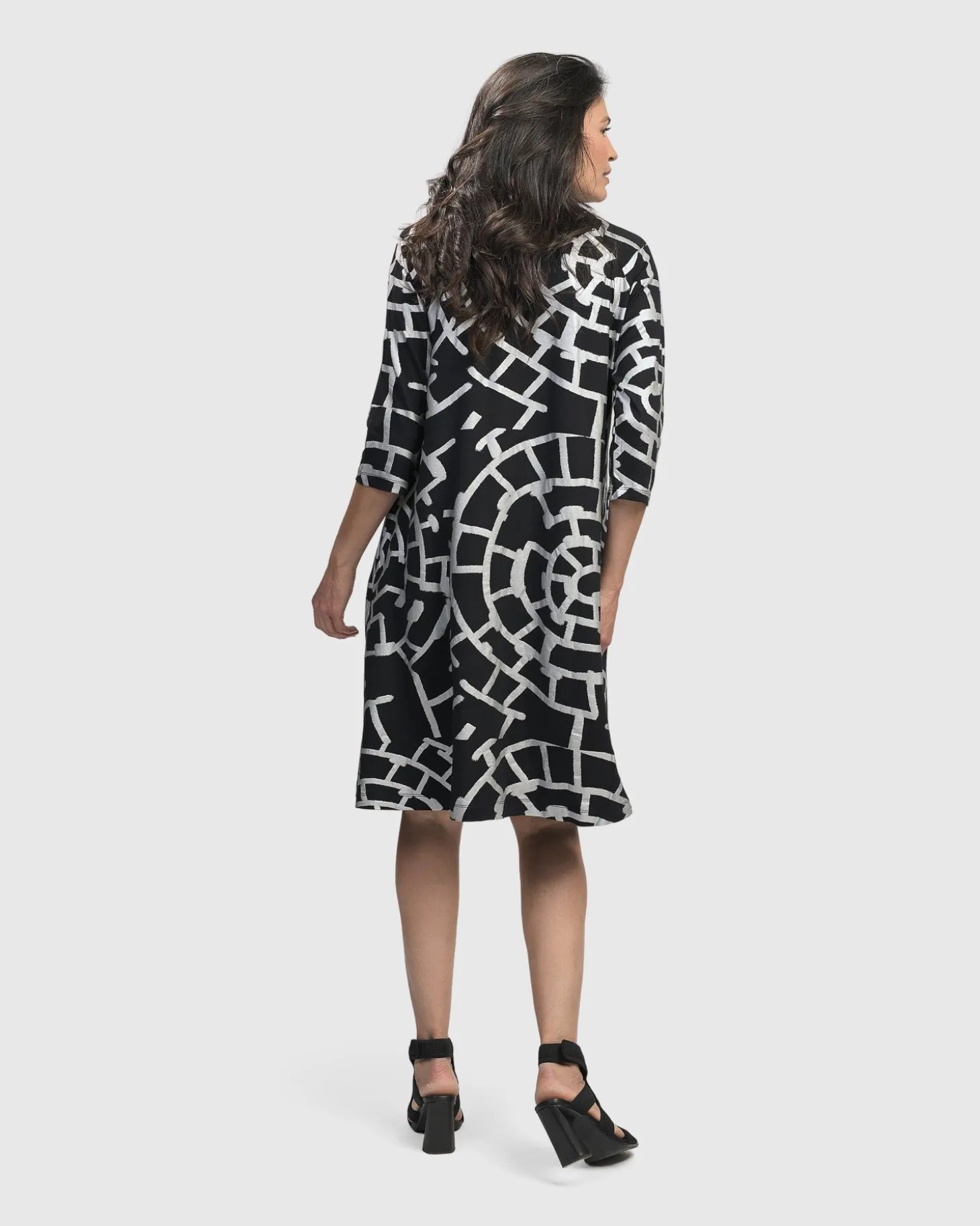 Women Alembika Hypnotic A Line Dress, Silver