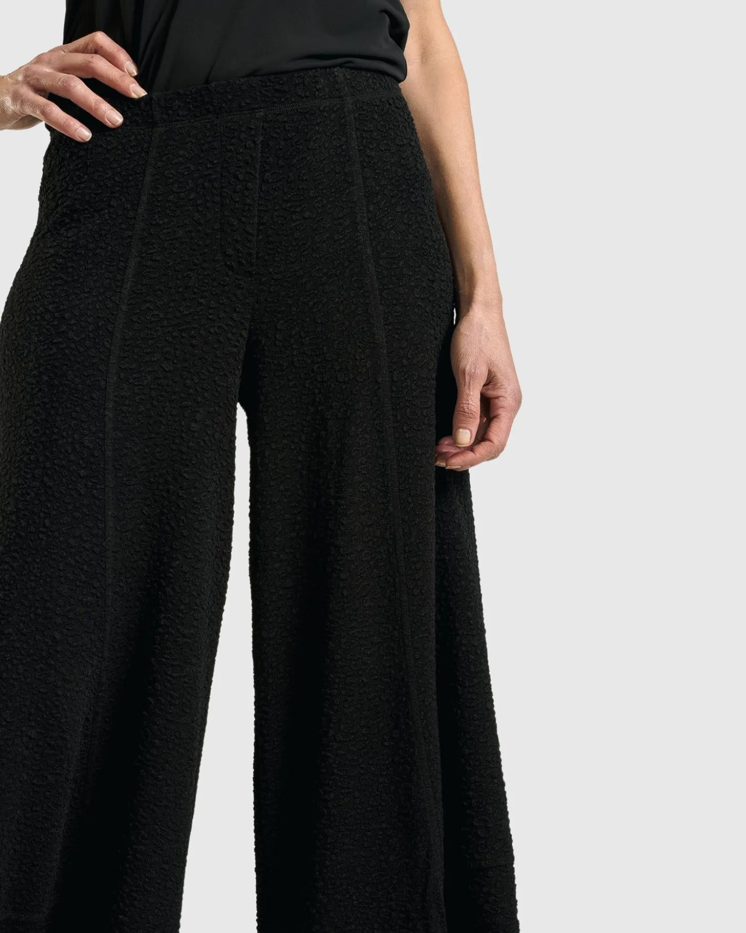 Women Alembika Jacquard Punto Pants, Black